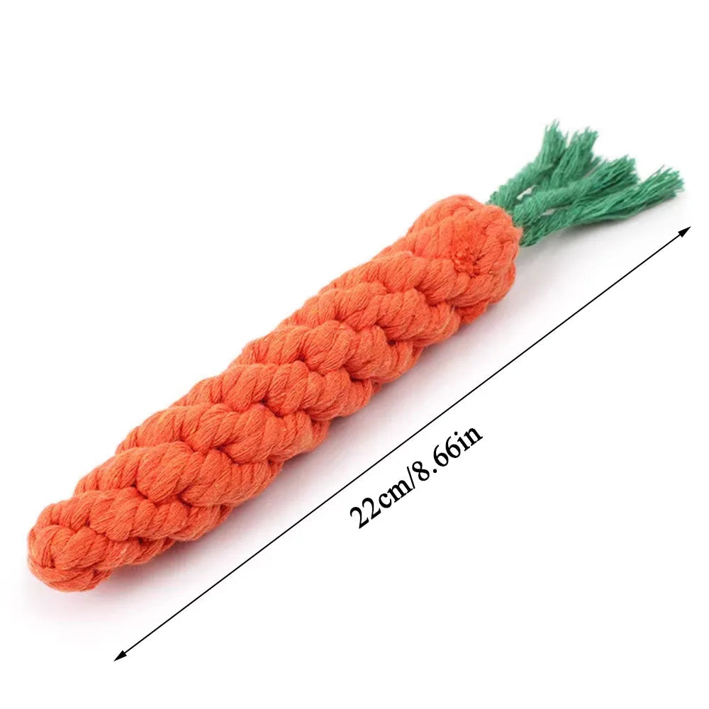 Carrot Rope Tug & Chew Toy