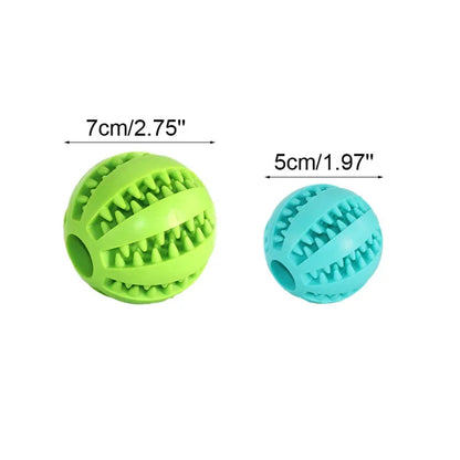 Interactive Treat & Dental Ball
