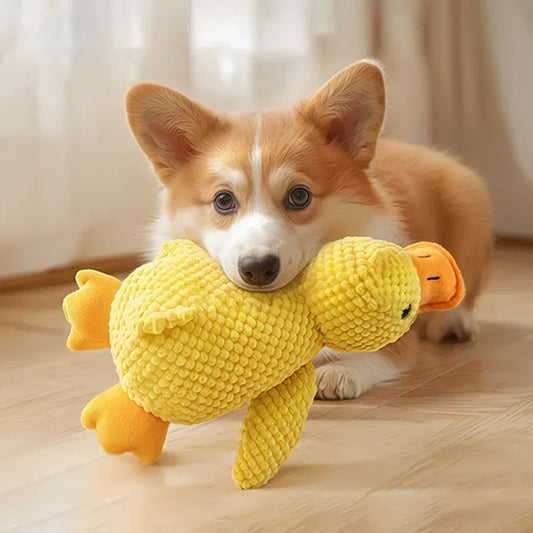Squeaky Character Plush Toy