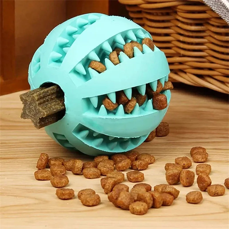 Interactive Treat & Dental Ball