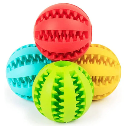 Interactive Treat & Dental Ball