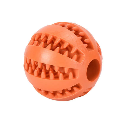 Interactive Treat & Dental Ball