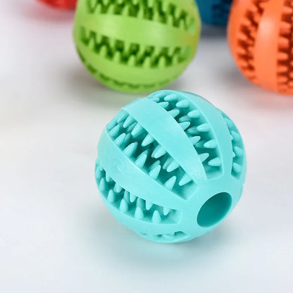 Interactive Treat & Dental Ball