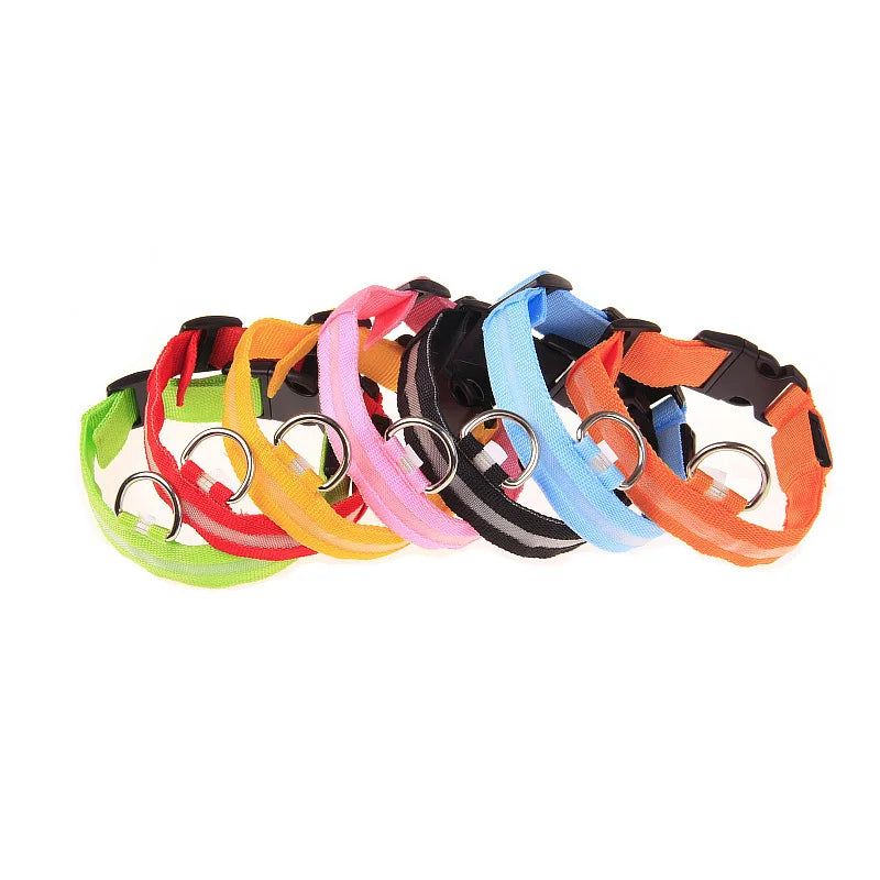 LED Night-Safety Dog Leash