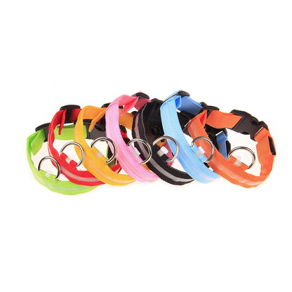 LED Night-Safety Dog Leash
