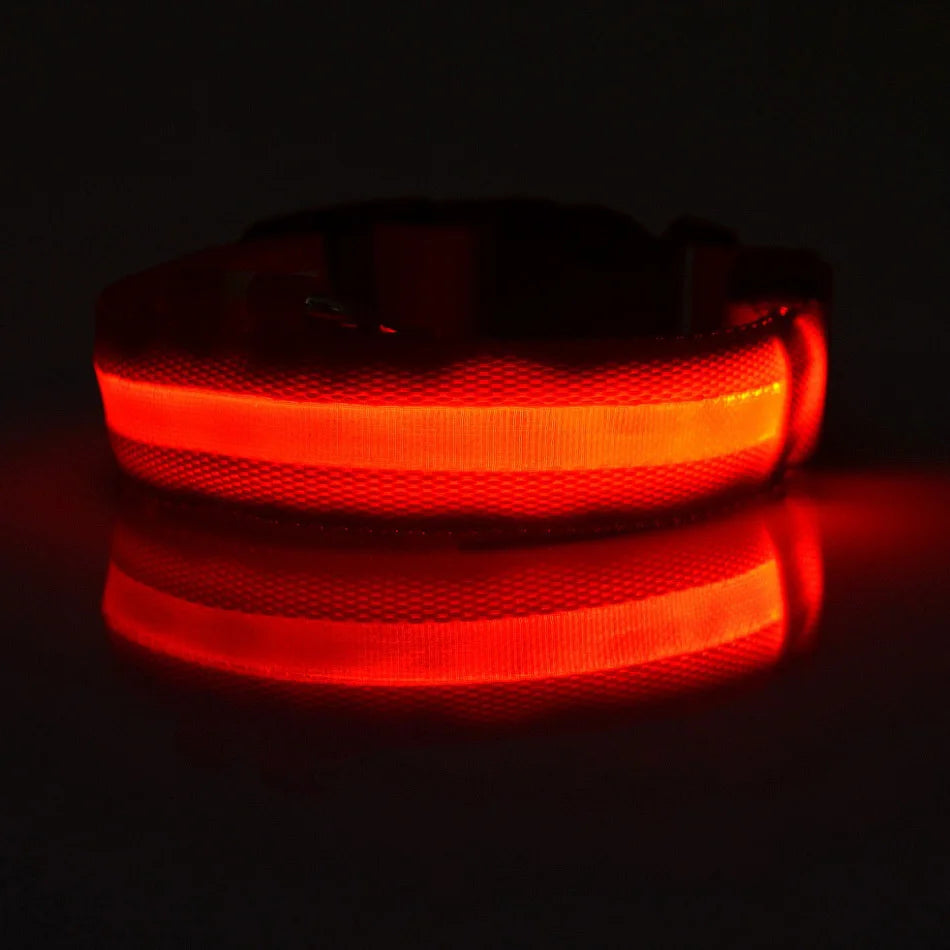 LED Night-Safety Dog Leash