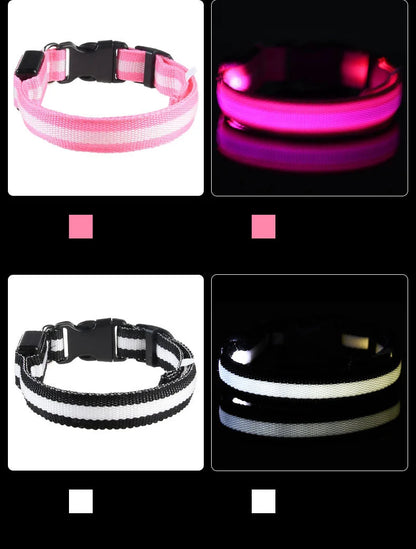 LED Night-Safety Dog Leash