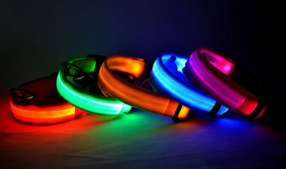 LED Night-Safety Dog Leash