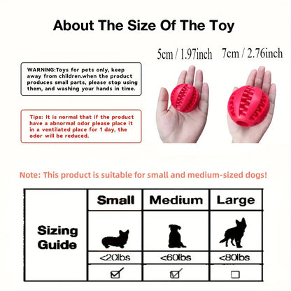 Treat-Dispensing Dental Ball