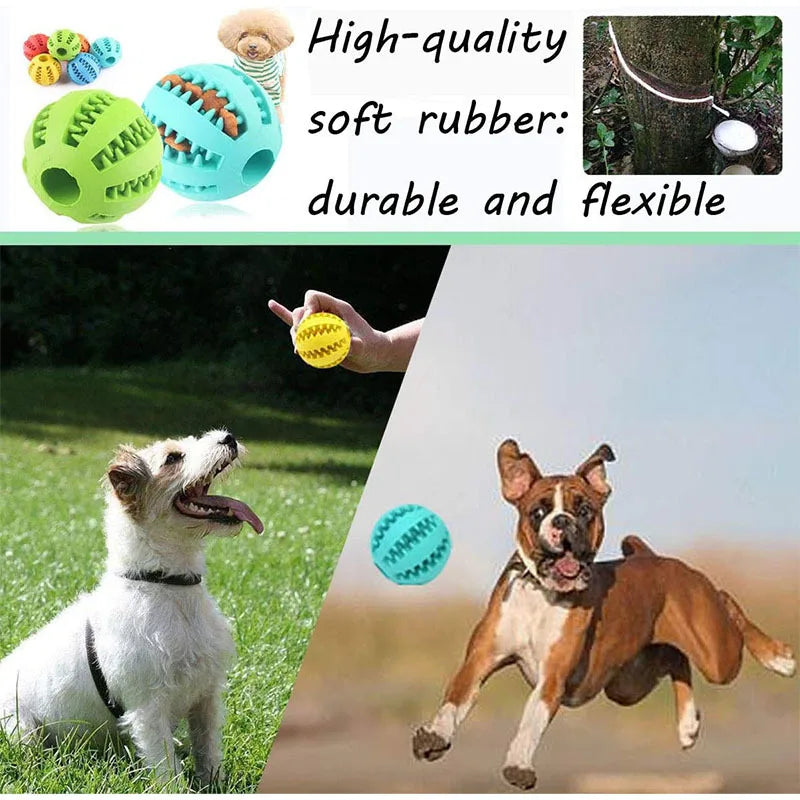 Interactive Treat & Dental Ball