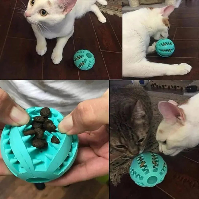 Interactive Treat & Dental Ball