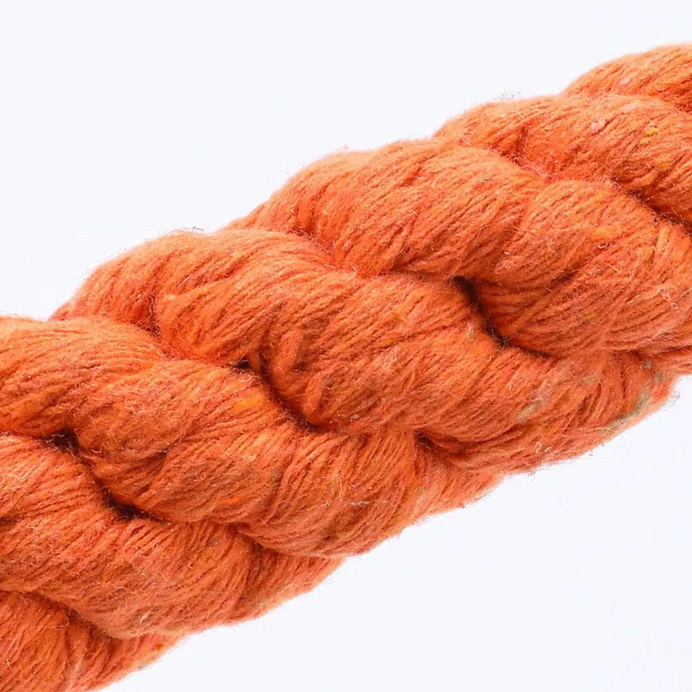 Carrot Rope Tug & Chew Toy