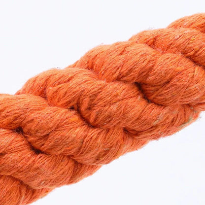 Carrot Rope Tug & Chew Toy