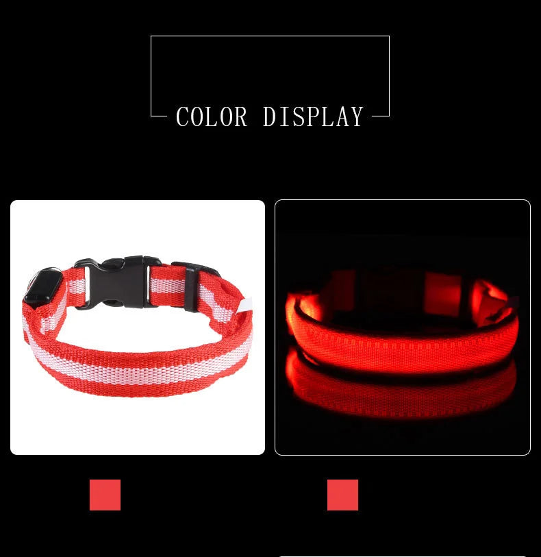 LED Night-Safety Dog Leash