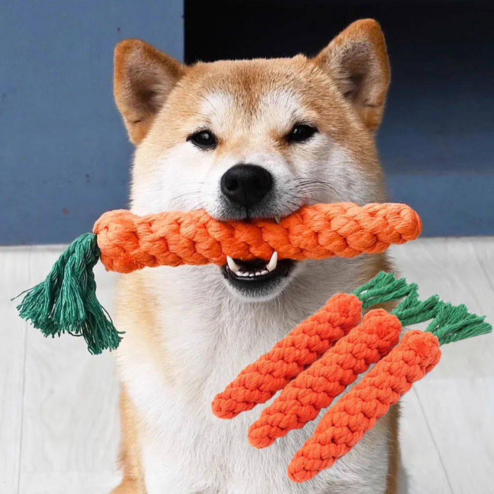 Carrot Rope Tug & Chew Toy